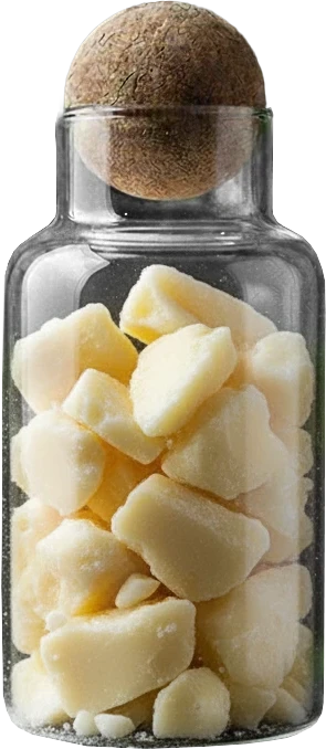 Cocoa Butter Substitute