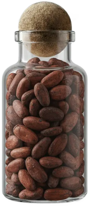 Cocoa Bean