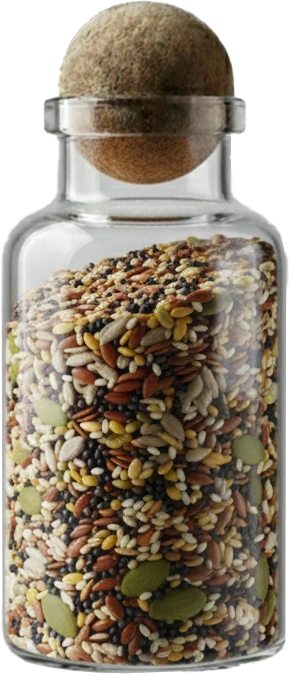 Oil Seeds