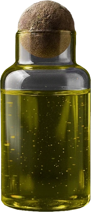 Olive Oil